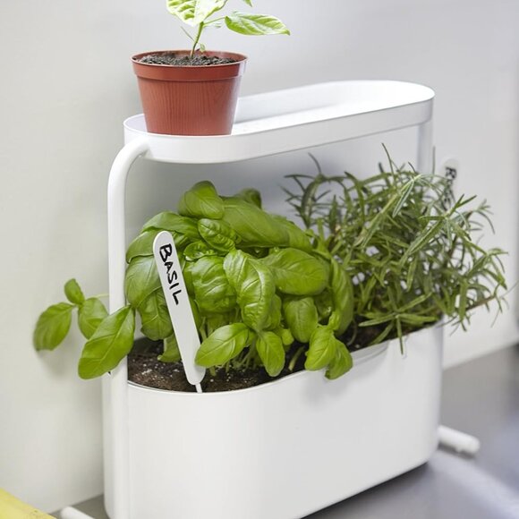 New in Box Umbra Giardino Indoor Herb Garden Set - Picture 7 of 14